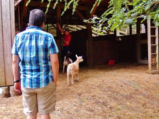 DSCN0646 (2) (1024x768)