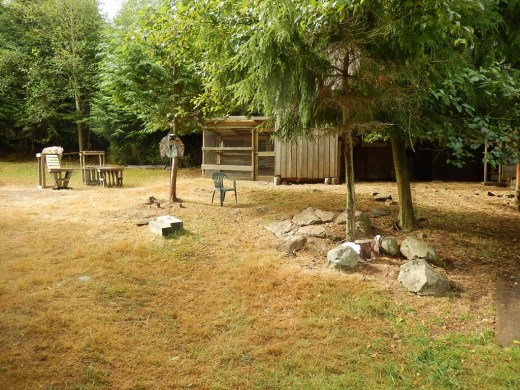 DSCN0679 (2) (1024x768)