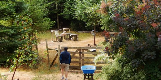 DSCN0692 (2) (1024x512)