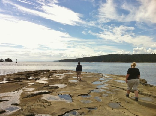 IMG_3439 (2) (1024x765)