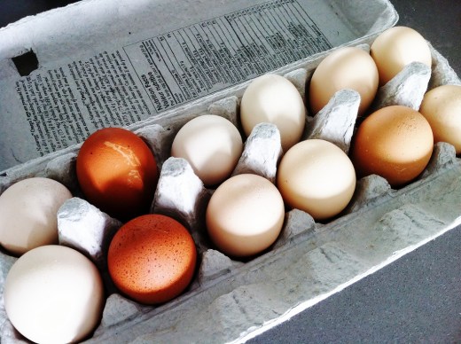 IMG_3448 (2) (1024x765)