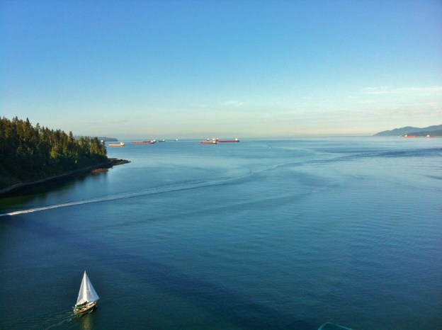 IMG_3504 (2) (1024x765)