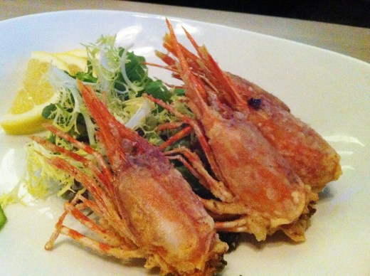 IMG_3527 (2) (1024x765)