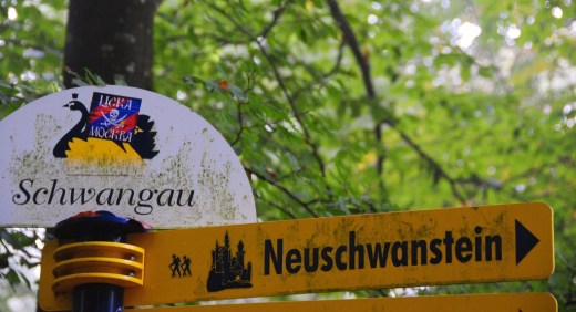 DSC_0017_4402 (2) (1024x557)