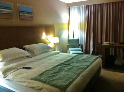 IMG_3627 (1024x765) (1024x765)