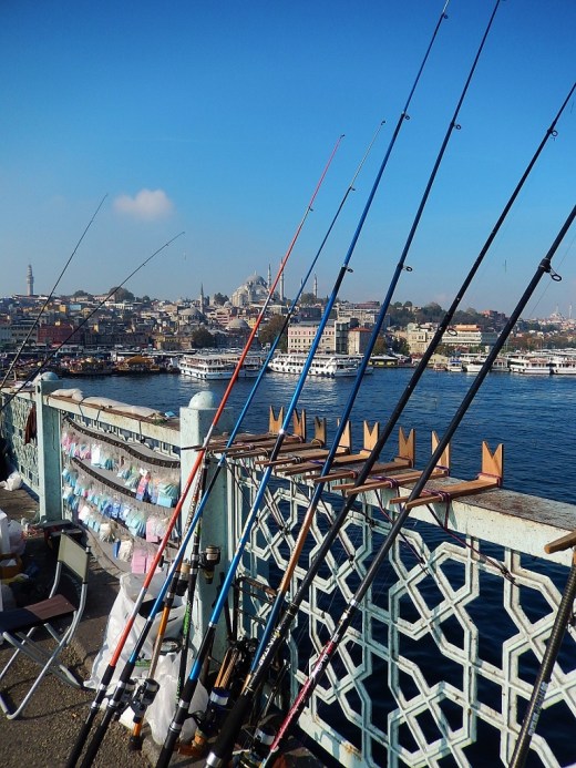 DSCN1231_4533 (2) (768x1024)