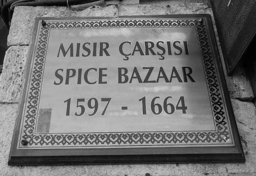 DSCN1269_4571 (2) (1024x706)