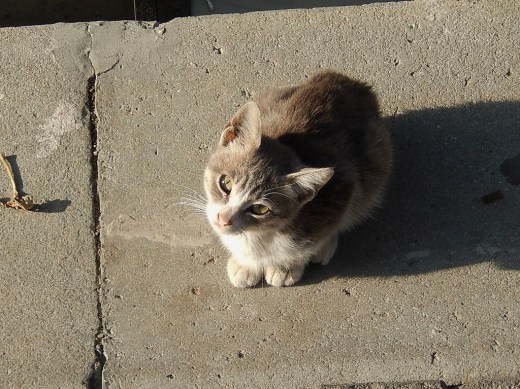 DSCN1324_4695 (2) (1024x767)