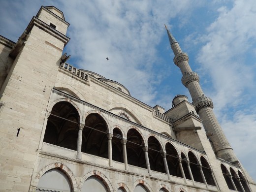 DSCN1418_4783 (2) (1024x768)