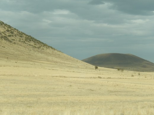 DSCN1494_4946 (1024x768)