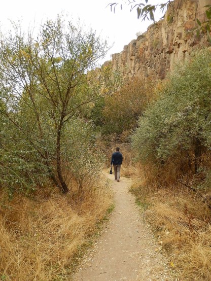 DSCN1513_4965 (768x1024)