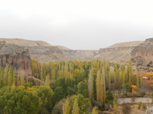 DSCN1558_5010 (1024x768)