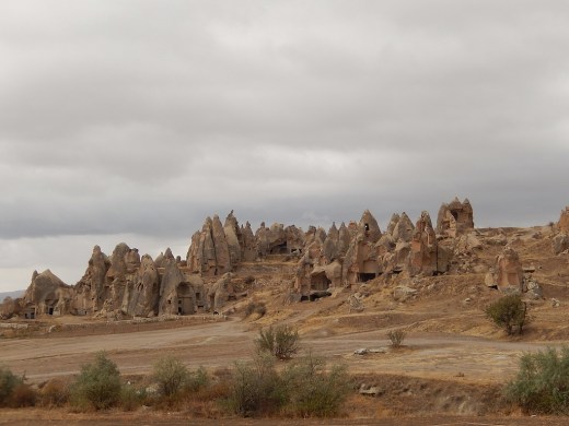 DSCN1753_5196 (1024x768)