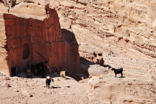 DSC_0294 (2) (1024x685)