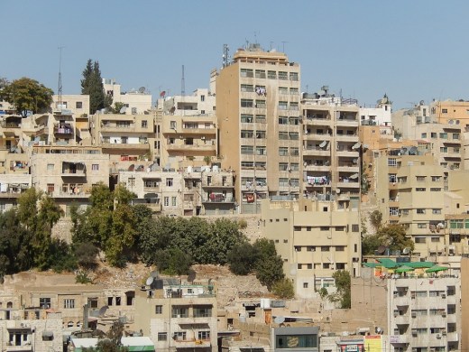 DSCN2104 (2) (1024x768)