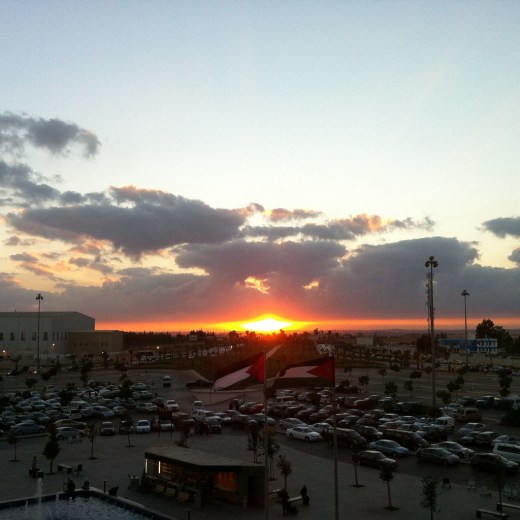 IMG_3887 (1024x1024)