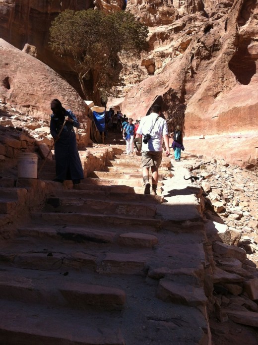 IMG_3915 (2) (765x1024)