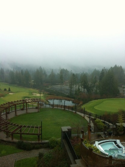 IMG_4284 (2) (765x1024)