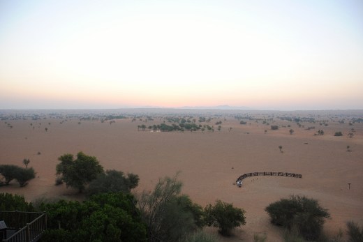 DSC_0118_7307 (2) (1024x685)