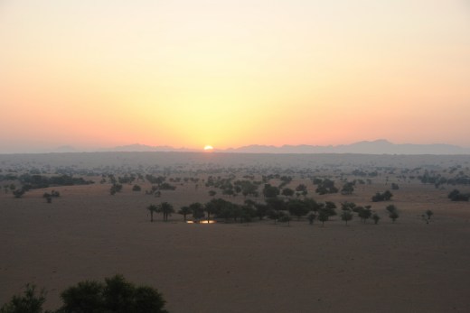 DSC_0125_7314 (2) (1024x685)