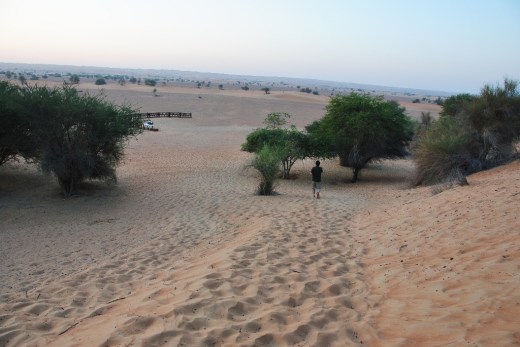 DSC_0132_7321 (2) (1024x685)