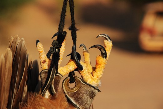 DSC_0188_7377 (2) (1024x685)