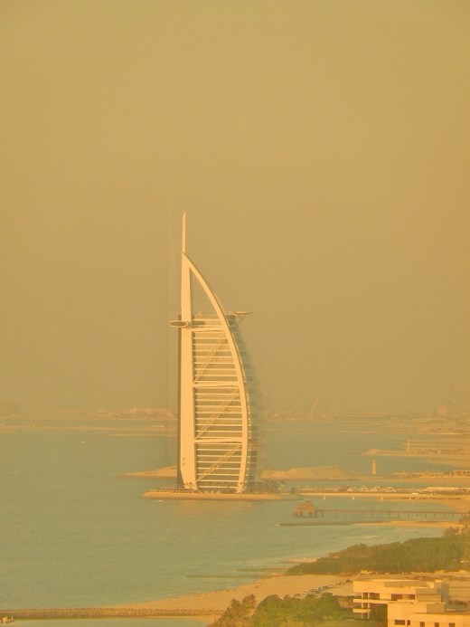 DSCN2775_6955 (2) (768x1024)