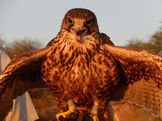 DSCN2921_7174 (2) (1024x768)