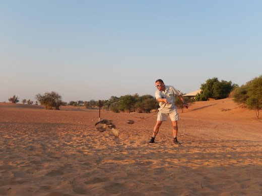 DSCN2928_7181 (2) (1024x768)