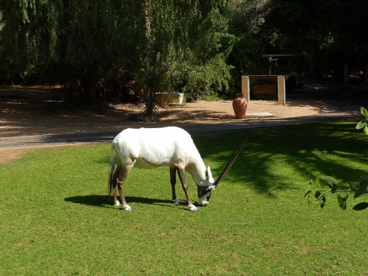 DSCN2974_7226 (2) (1024x768)