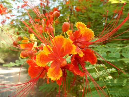 DSCN2978_7230 (2) (1024x768)