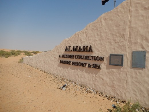 DSCN3053_7398 (2) (1024x768)