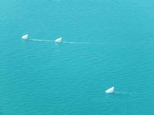 DSCN3071_7416 (2) (1024x768)