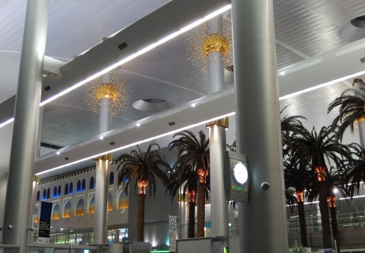 DSCN3092_7437 (2) (1024x712)