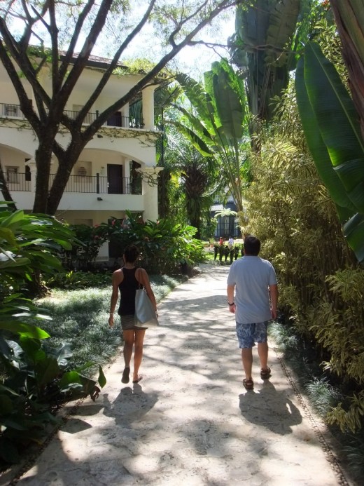 DSCF0957 (2) (768x1024)