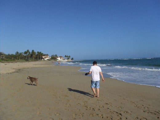 DSCF0961 (2) (1024x768)