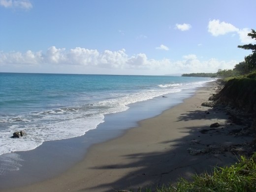 DSCF0969 (2) (1024x768)