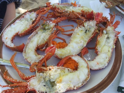 DSCF1016 (2) (1024x768)