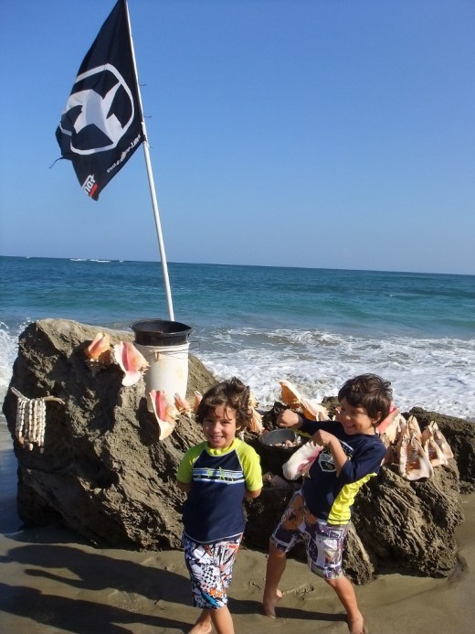 DSCF1083 (2) (768x1024)