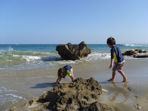 DSCF1088 (2) (1024x768)