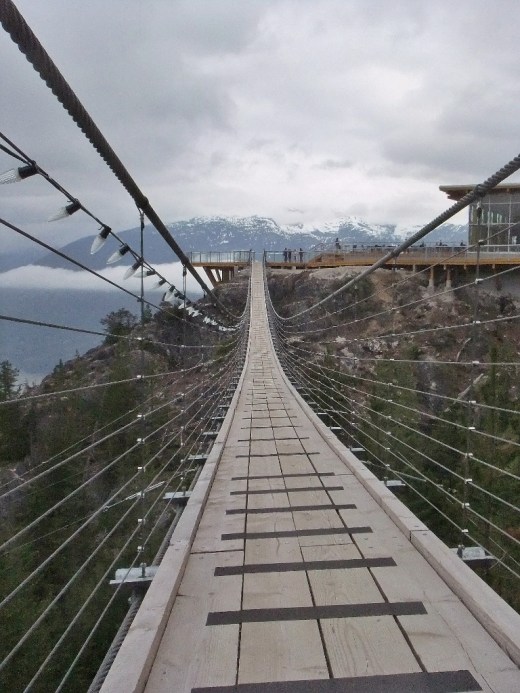 DSCF1235 (2) (768x1024)