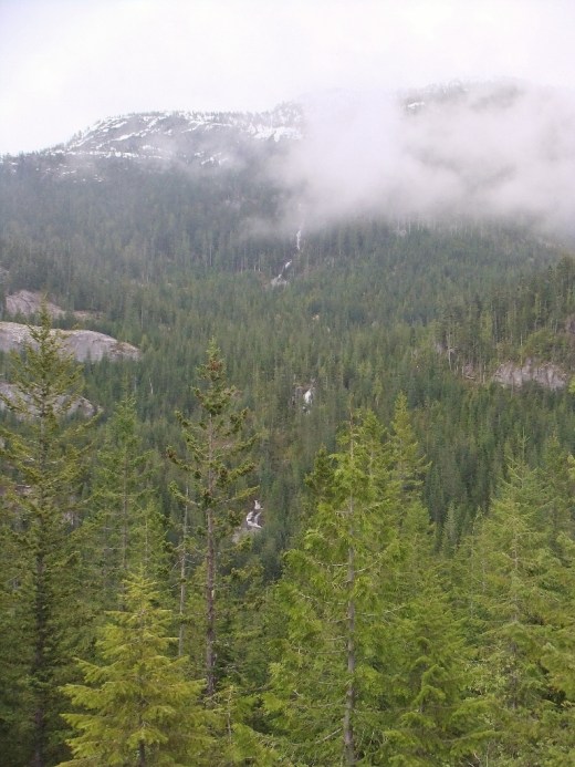 DSCF1265 (2) (768x1024)