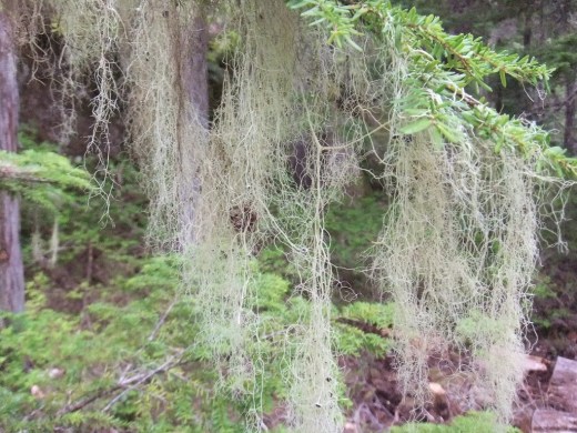 DSCF1268 (2) (1024x768)