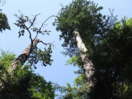 DSCF1333 (2) (1024x768)