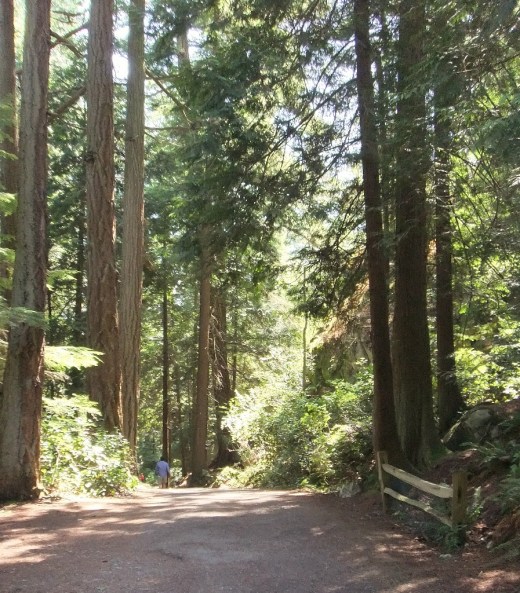 DSCF1336 (2) (897x1024)