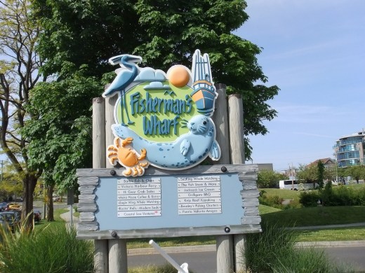 DSCF1924 (2) (1024x768)