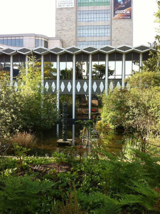 IMG_6137 (2) (765x1024)