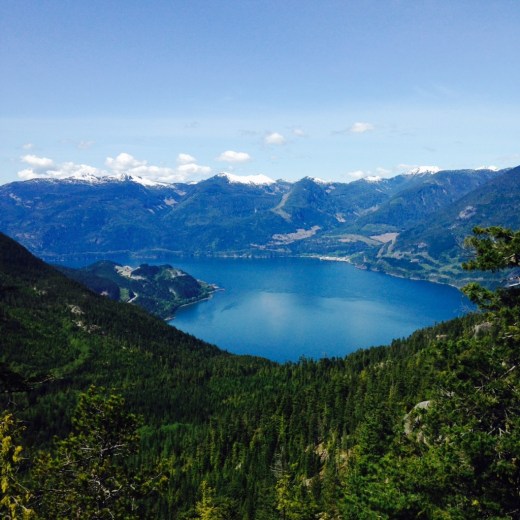 IMG_6202 (2) (1024x1024)